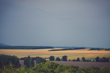 beautiful countryside in the afternoon