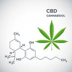 Cannabidiol - CBD - Structural Sceletal Formula With Marijuana Leaf Drug Icon. EPS10 vector file.
