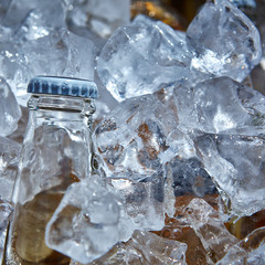 Bottle of beer is in ice