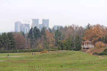 bright autumn colors in the city  park