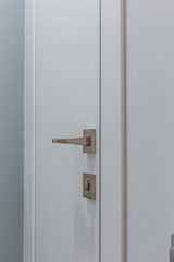 Modern metal door handle on a white door.