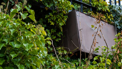 Ventilation box amongst foliage