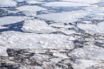 ice on the water