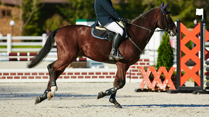 Rider on bay horse in competitions