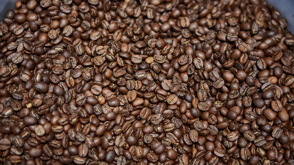 Freshly roasted coffee beans