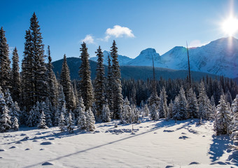 Landscape view of a snowy meadow.