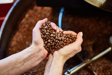 close-up view of roasted coffee beans in hand