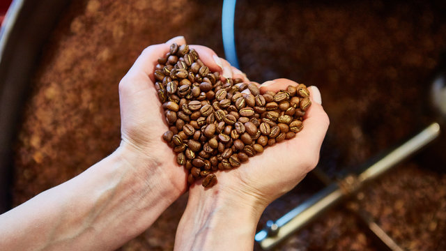 close-up view of roasted coffee beans in hand