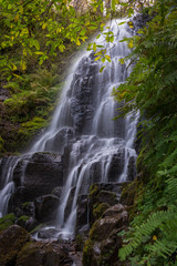 Beautiful flowing waterfall surrounded by lush green foliage in the Columbia River Gorge, Oregon