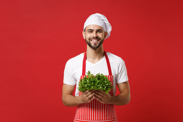 Smiling young bearded male chef cook or baker man in striped apron white t-shirt toque chefs hat isolated on red background. Cooking food concept. Mock up copy space. Holding green fresh salad leaves.