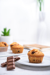 Delicious chocolate muffins on white background