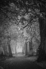 Vintage, retro photo of old graves and tombstones in an ancient cemetery. Grainy, noisy, artistic monochrome image. Halloween, all saints concept
