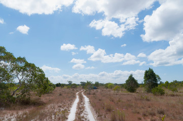 Rural Roads.Rural Village Landscape