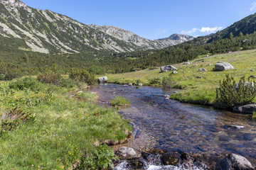 Fototapeta na wymiar Mountain River near The Fish Lakes, Rila mountain, Bulgaria