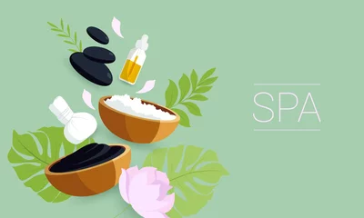 Poster Spa set elements. Dead sea mud, black stones for massage, green tropical leafs  on green background. © Moonmia