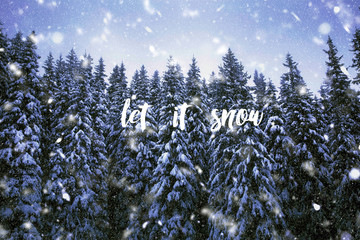 Winter-Inspirational quote on a winter landscape background with pine trees covered in snow.