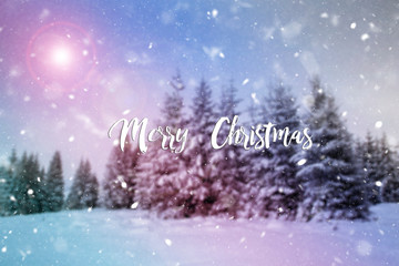 Winter-Inspirational quote on a winter landscape background with pine trees covered in snow.