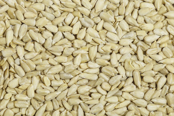 Sunflower seeds are pure. Texture
