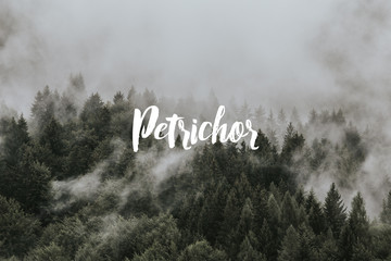 word on background with copy space for text