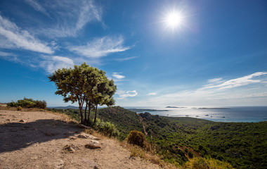 Mediterranean landscape with green vegetation and tree, sun, blue sky and calm sea and coast of Sicily - Italian region in south of Italy