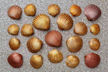 Pattern of exotic seashells in gold color.