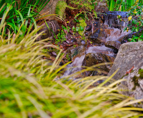 2019-08-14 Small Water Fall in the Botancial Garden