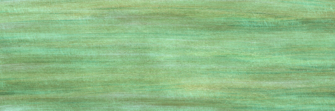 Green grunge paper background.Old scrached green texture.Long panoramic format.
