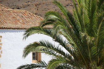 Fototapeta na wymiar House at the palm trees (no post editing)