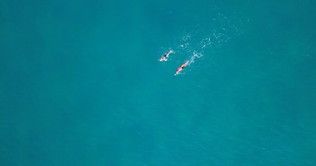 Fototapeta na wymiar Two swimmers practicing in a long distance swim at calm ocean water. Top Down aerial Image..
