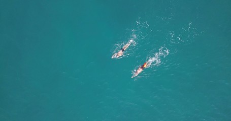 Two swimmers practicing in a long distance swim at calm ocean water. Top Down aerial Image..