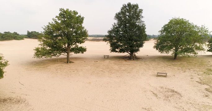 Backwards Shot of a Bench and a Swing Flying Past the Trees, Drents Friese Wold, Friesland, The Netherlands &ndash; 4K Drone Footage