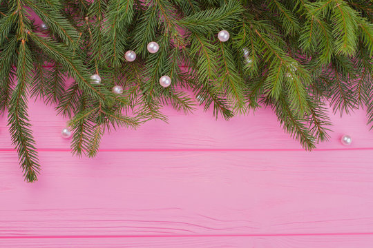 Green border from evergreen twigs. Fresh conifer branches with white pearls on pink wooden background, copy space. Christmas festive background.