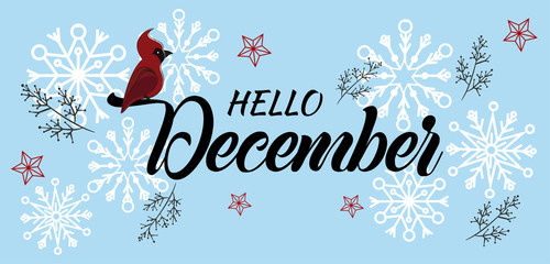 Hello December seasonal vector illustration. Winter background with Christmas decorations. © Carla Nichiata