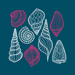 Hand drawn set of various seashell - obrazy, fototapety, plakaty