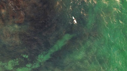 Obraz premium Photographing the island of Fuerteventura