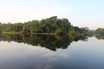 Obraz premium lake in forest