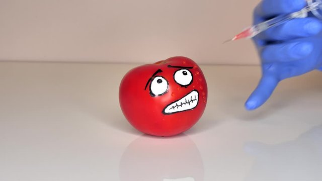 Doctor or scientist Injecting vegetable, tomato with drown smile and eyes expreasing emotions (fear or enger)