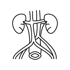 Kidney and adrenal glands icon. Simple line, outline vector of urology icons for ui and ux, website or mobile application