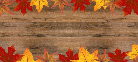 autumn – frame made of colorful leaves isolated on rustic wooden texture – background panorama...