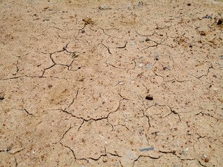 Cracked of dry soil in arid season. Dry cracked earth texture.