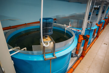 Fototapeta na wymiar Round tanks for growing sturgeons in fish farm