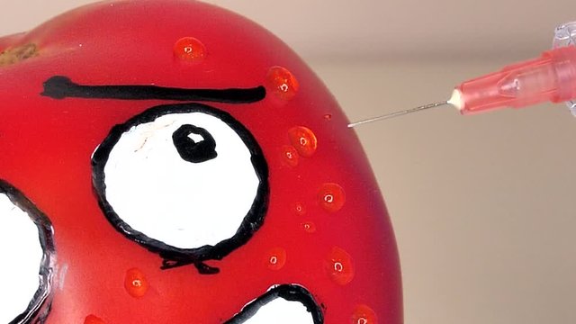 Doctor or scientist Injecting vegetable, tomato with drown smile and eyes expreasing emotions (fear or enger)
