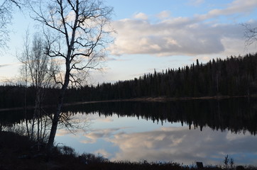 reflection of trees in lake