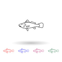 Maigre multi color icon. Simple thin line, outline vector of fish icons for ui and ux, website or mobile application