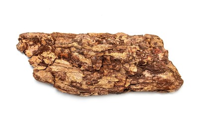 A piece of tree bark is isolated on a white background.