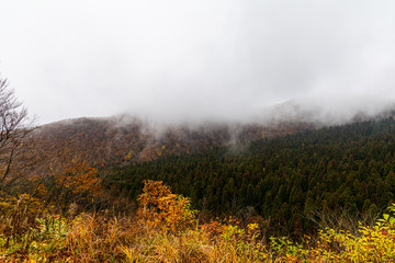 鳥取　大山　鍵掛峠の紅葉　曇り　雰囲気