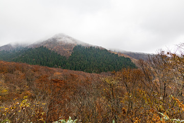 鳥取　大山　鍵掛峠の紅葉　曇り　雰囲気