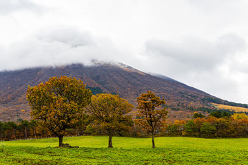 鳥取　大山　鍵掛峠の紅葉　曇り　雰囲気