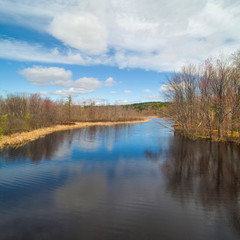 Brook in Winter