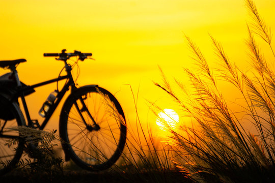 Vintage bicycle Flowering grass and the evening sun.